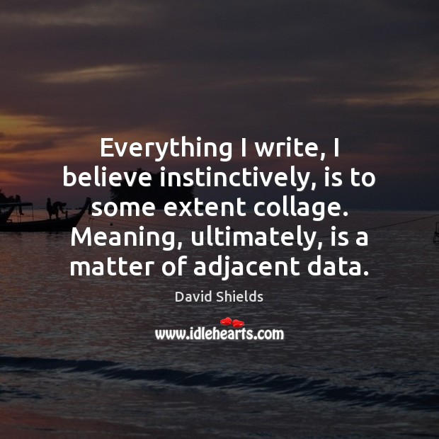 Everything I write, I believe instinctively, is to some extent collage. Meaning, David Shields Picture Quote