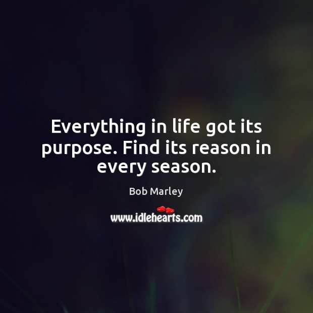 Everything in life got its purpose. Find its reason in every season. Bob Marley Picture Quote