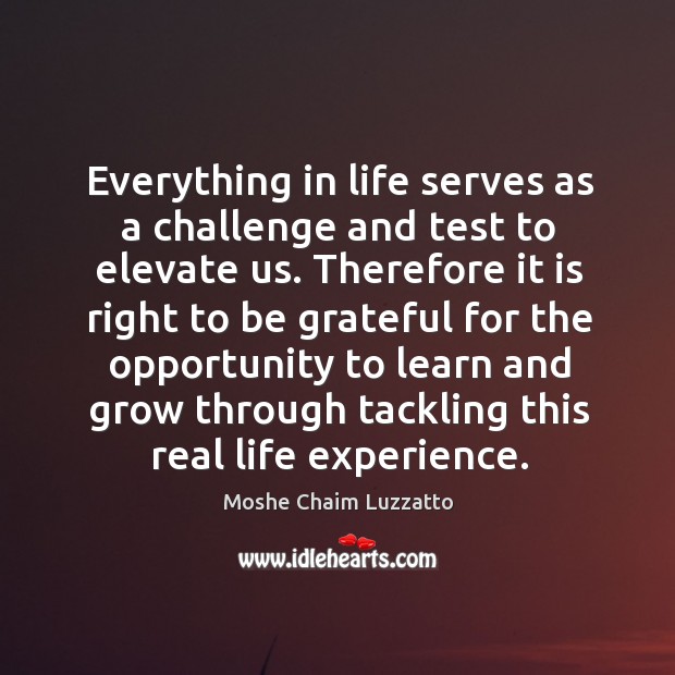 Everything in life serves as a challenge and test to elevate us. Be Grateful Quotes Image