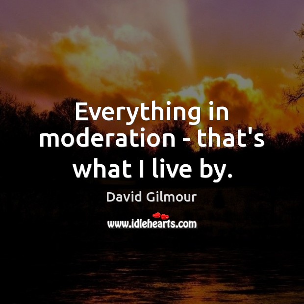 Everything in moderation – that’s what I live by. David Gilmour Picture Quote