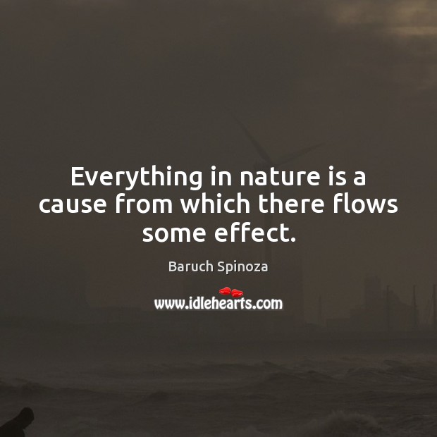 Everything in nature is a cause from which there flows some effect. Baruch Spinoza Picture Quote