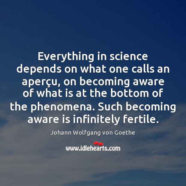 Everything in science depends on what one calls an aperçu, on Johann Wolfgang von Goethe Picture Quote