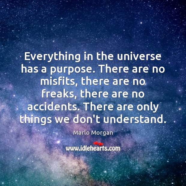 Everything in the universe has a purpose. There are no misfits, there Marlo Morgan Picture Quote