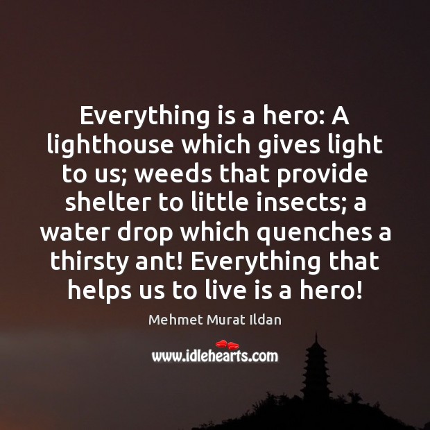Everything is a hero: A lighthouse which gives light to us; weeds Mehmet Murat Ildan Picture Quote