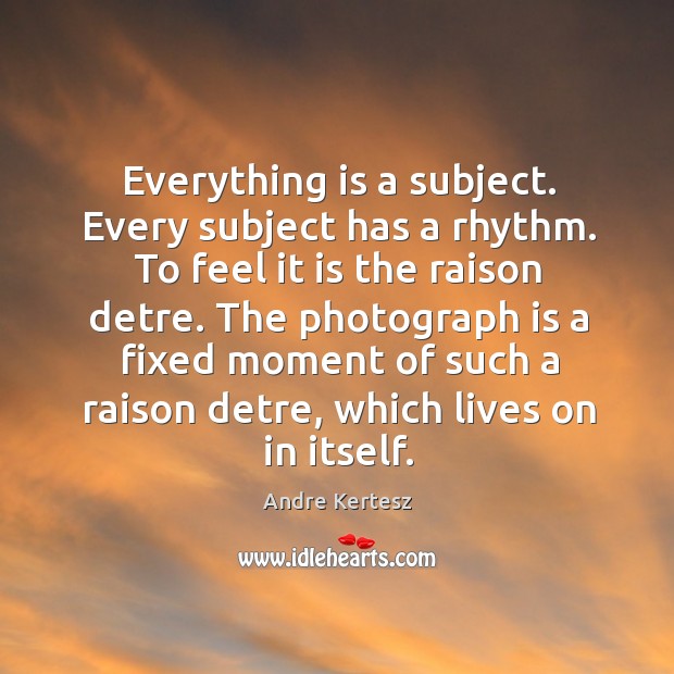 Everything is a subject. Every subject has a rhythm. To feel it is the raison detre. Andre Kertesz Picture Quote
