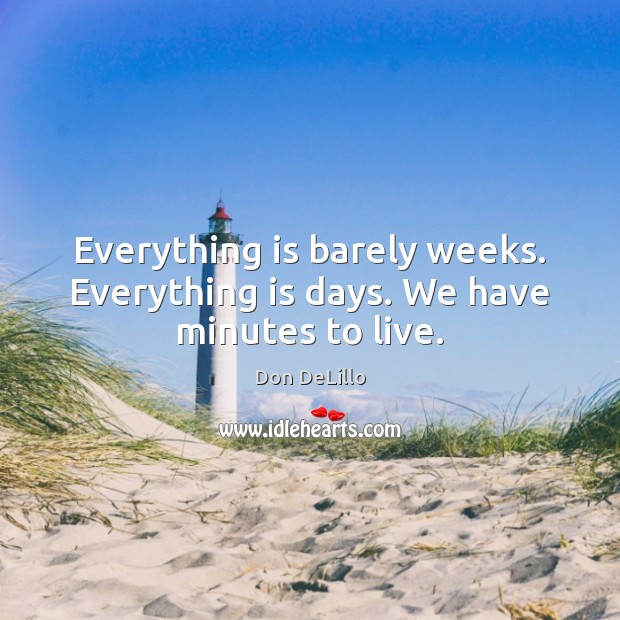 Everything is barely weeks. Everything is days. We have minutes to live. Don DeLillo Picture Quote
