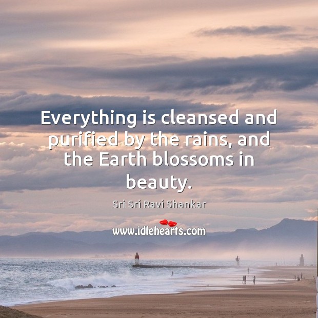 Everything is cleansed and purified by the rains, and the Earth blossoms in beauty. Sri Sri Ravi Shankar Picture Quote