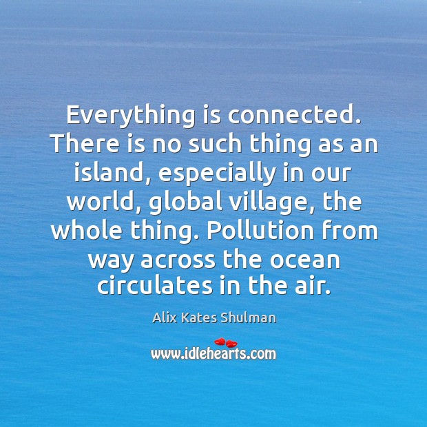 Everything is connected. There is no such thing as an island, especially Alix Kates Shulman Picture Quote
