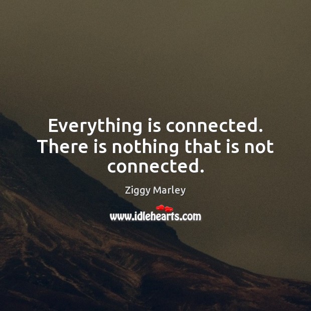 Everything is connected. There is nothing that is not connected. Ziggy Marley Picture Quote