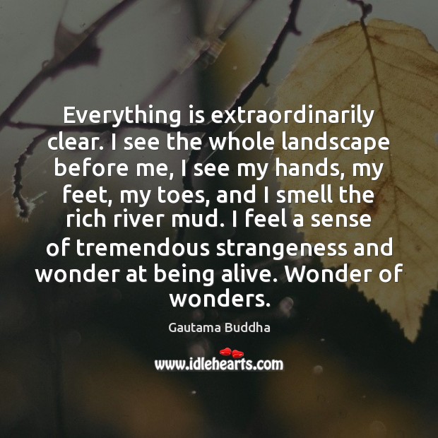 Everything is extraordinarily clear. I see the whole landscape before me, I Gautama Buddha Picture Quote