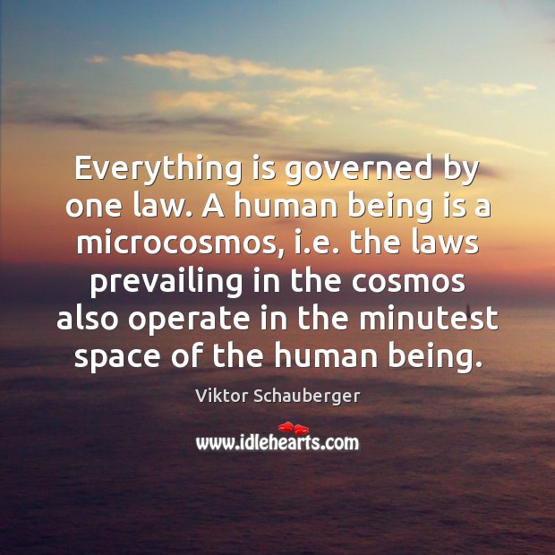 Everything is governed by one law. A human being is a microcosmos, Viktor Schauberger Picture Quote
