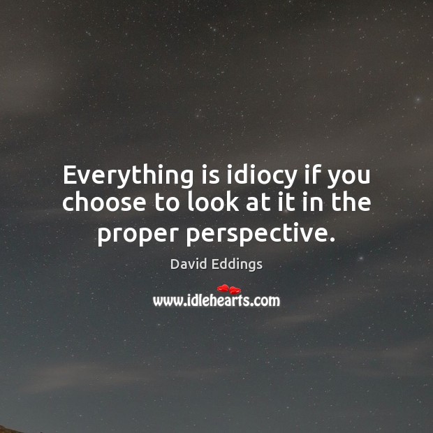 Everything is idiocy if you choose to look at it in the proper perspective. David Eddings Picture Quote