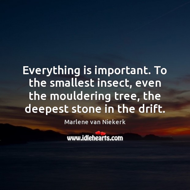 Everything is important. To the smallest insect, even the mouldering tree, the Marlene van Niekerk Picture Quote
