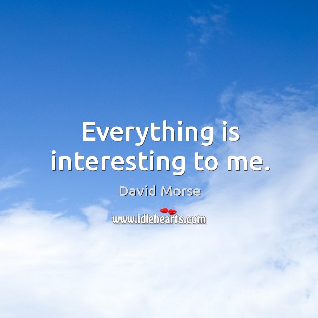 Everything is interesting to me. David Morse Picture Quote