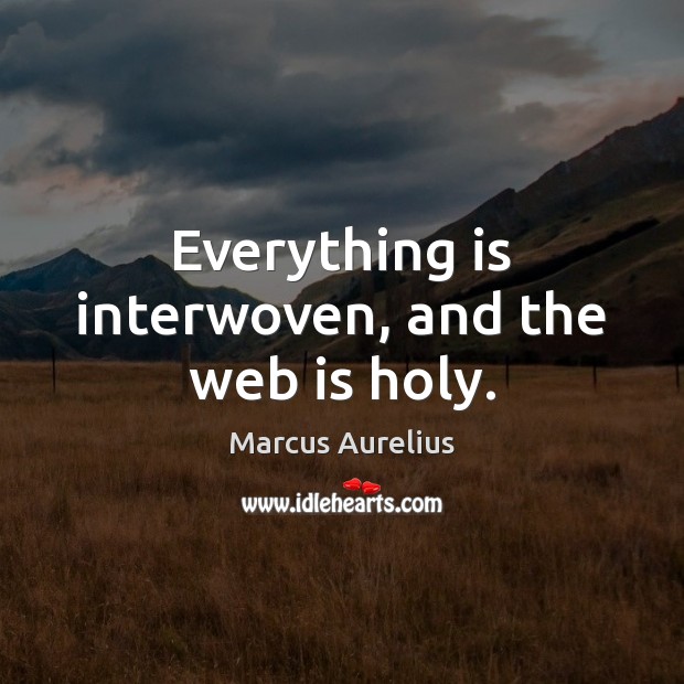 Everything is interwoven, and the web is holy. Marcus Aurelius Picture Quote