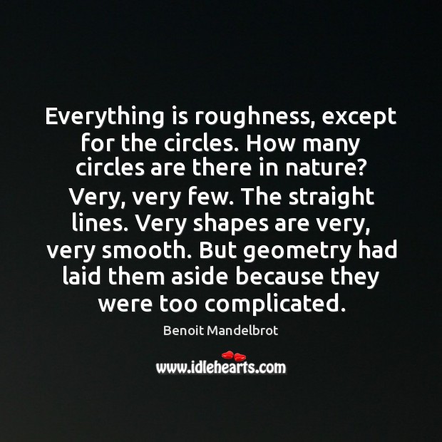 Everything is roughness, except for the circles. How many circles are there Benoit Mandelbrot Picture Quote