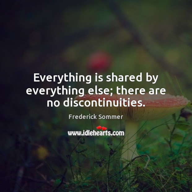 Everything is shared by everything else; there are no discontinuities. Frederick Sommer Picture Quote