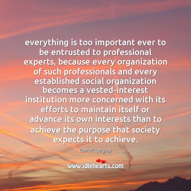 Everything is too important ever to be entrusted to professional experts, because Carroll Quigley Picture Quote