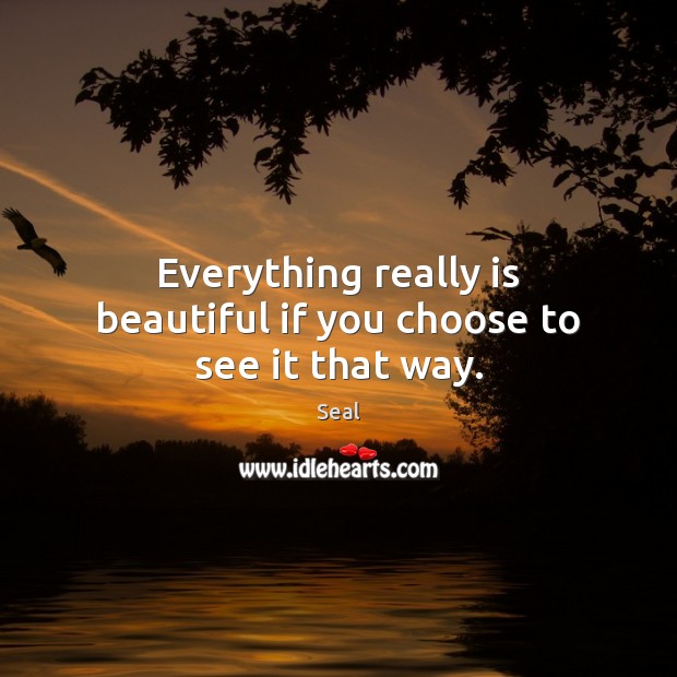 Everything really is beautiful if you choose to see it that way. Seal Picture Quote