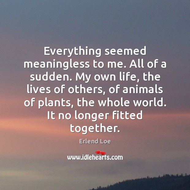 Everything seemed meaningless to me. All of a sudden. My own life, Erlend Loe Picture Quote