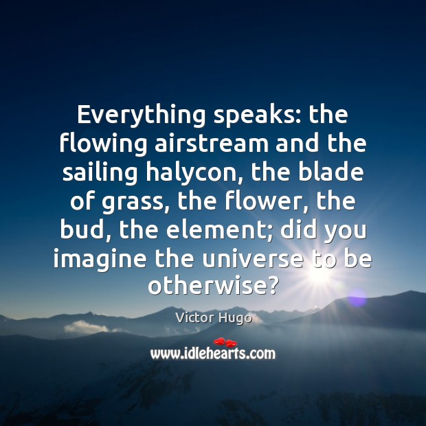 Everything speaks: the flowing airstream and the sailing halycon, the blade of Victor Hugo Picture Quote