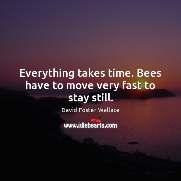 Everything takes time. Bees have to move very fast to stay still. David Foster Wallace Picture Quote