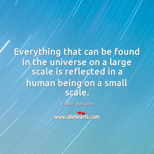 Everything that can be found in the universe on a large scale Franz Bardon Picture Quote
