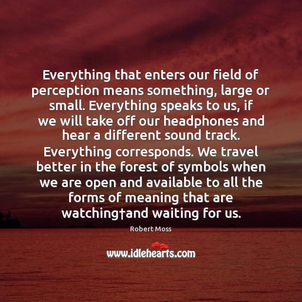 Everything that enters our field of perception means something, large or small. Robert Moss Picture Quote
