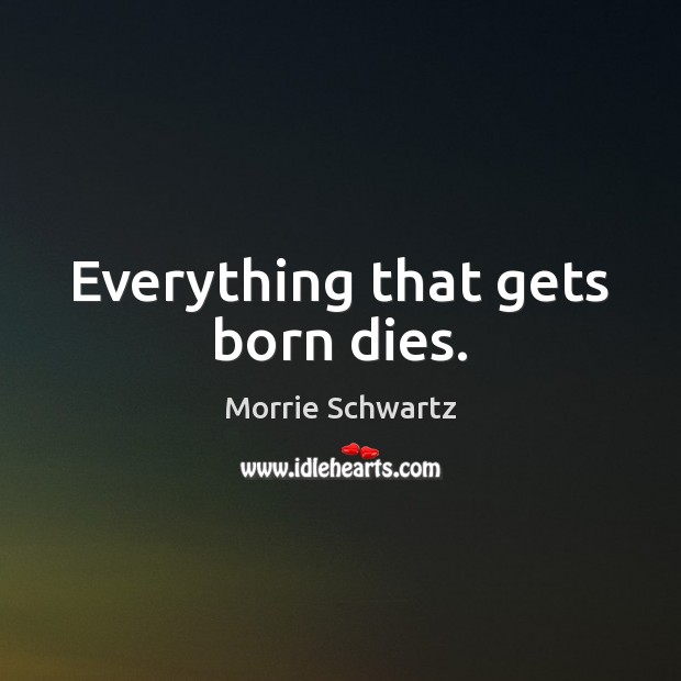 Everything that gets born dies. Morrie Schwartz Picture Quote
