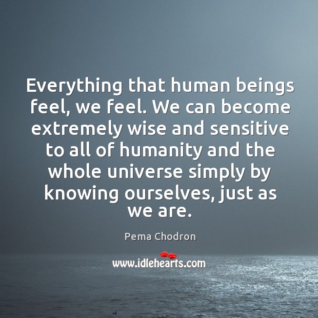 Everything that human beings feel, we feel. We can become extremely wise Image