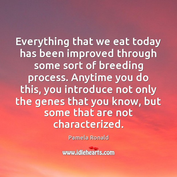 Everything that we eat today has been improved through some sort of Pamela Ronald Picture Quote