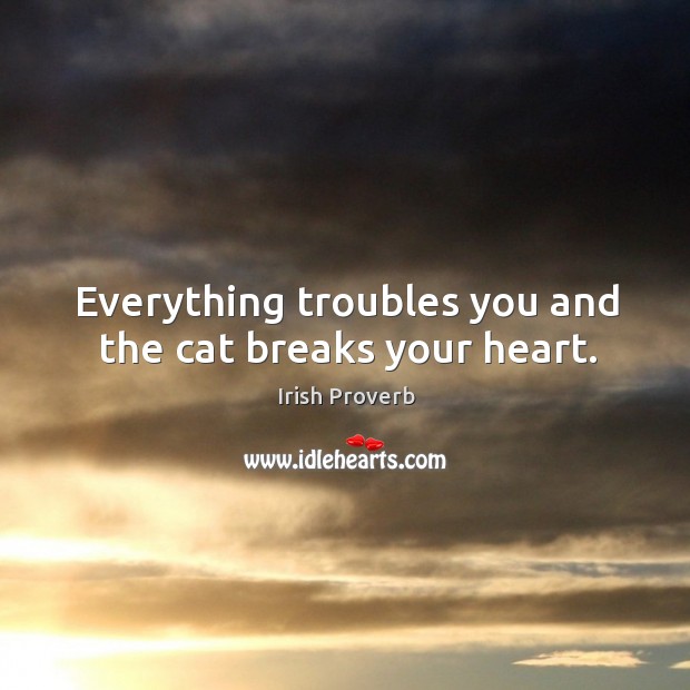 Everything troubles you and the cat breaks your heart. Irish Proverbs Image