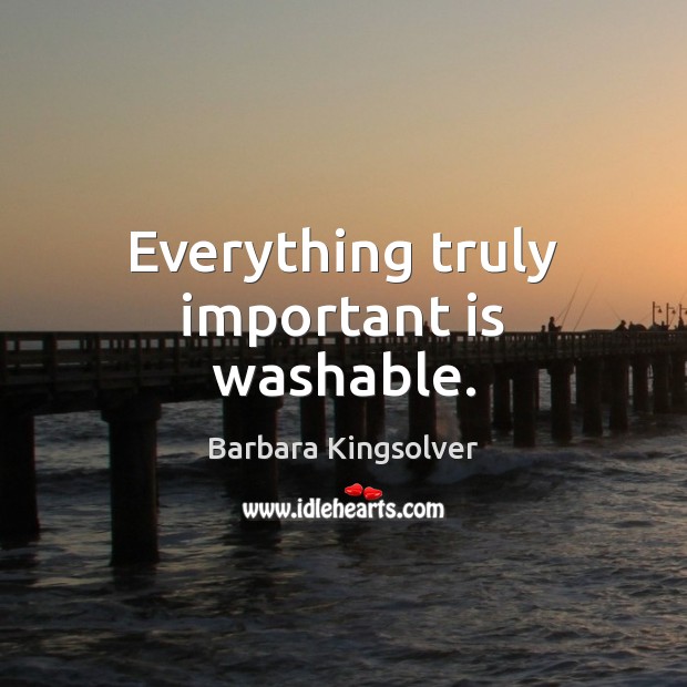 Everything truly important is washable. Barbara Kingsolver Picture Quote