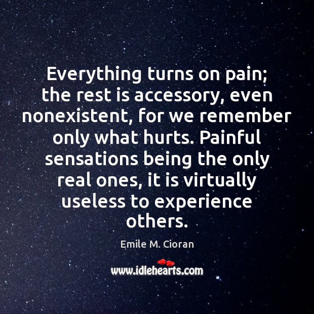 Everything turns on pain; the rest is accessory, even nonexistent, for we Emile M. Cioran Picture Quote