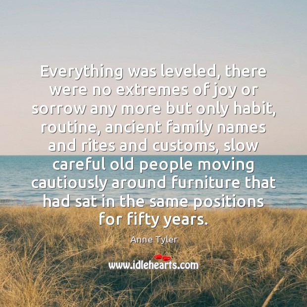 Everything was leveled, there were no extremes of joy or sorrow any Anne Tyler Picture Quote