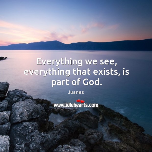 Everything we see, everything that exists, is part of God. Juanes Picture Quote