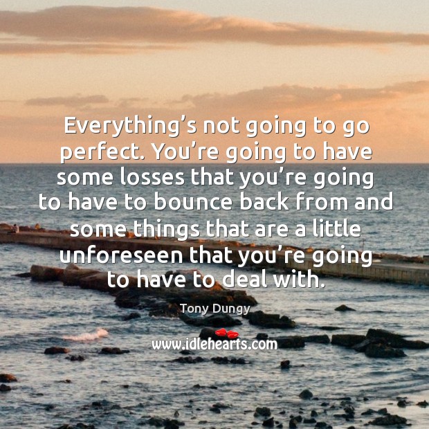 Everything’s not going to go perfect. You’re going to have some losses that Tony Dungy Picture Quote