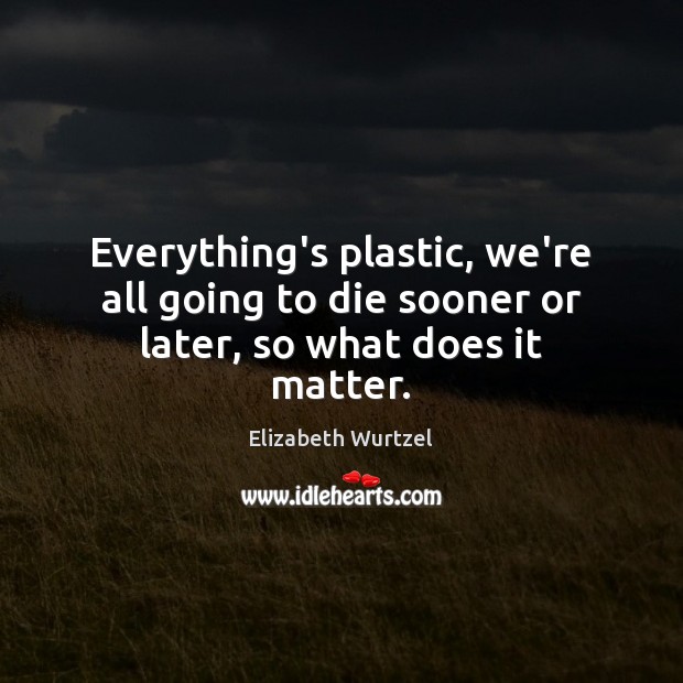 Everything’s plastic, we’re all going to die sooner or later, so what does it matter. Elizabeth Wurtzel Picture Quote