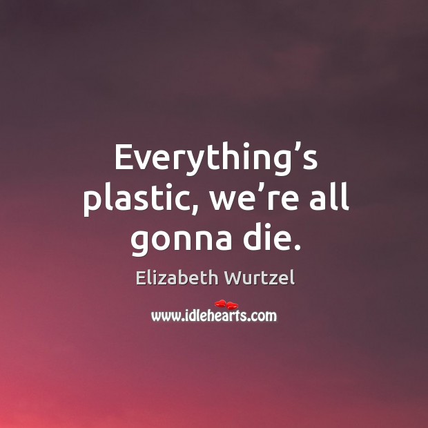 Everything’s plastic, we’re all gonna die. Elizabeth Wurtzel Picture Quote