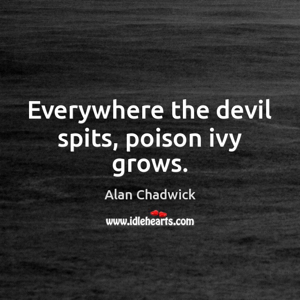 Everywhere the devil spits, poison ivy grows. Alan Chadwick Picture Quote