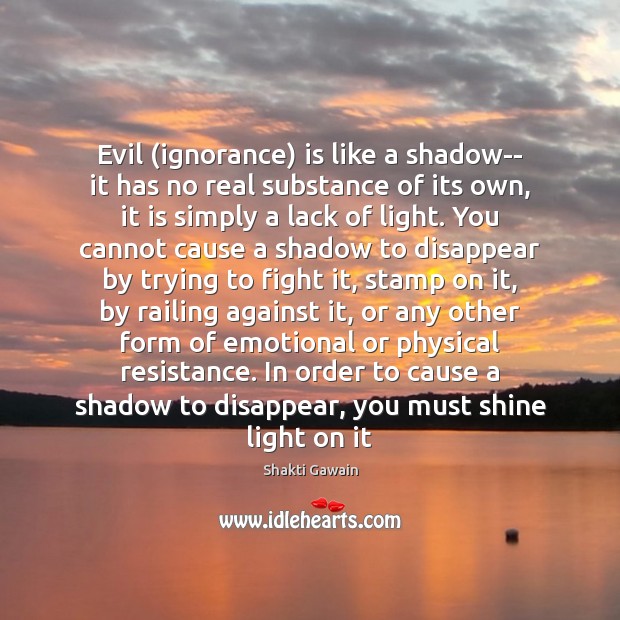Evil (ignorance) is like a shadow– it has no real substance of Image