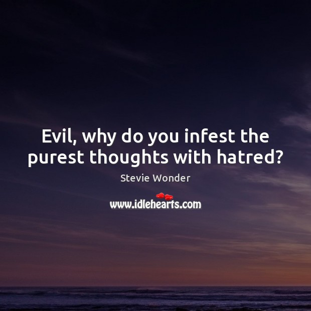 Evil, why do you infest the purest thoughts with hatred? Stevie Wonder Picture Quote