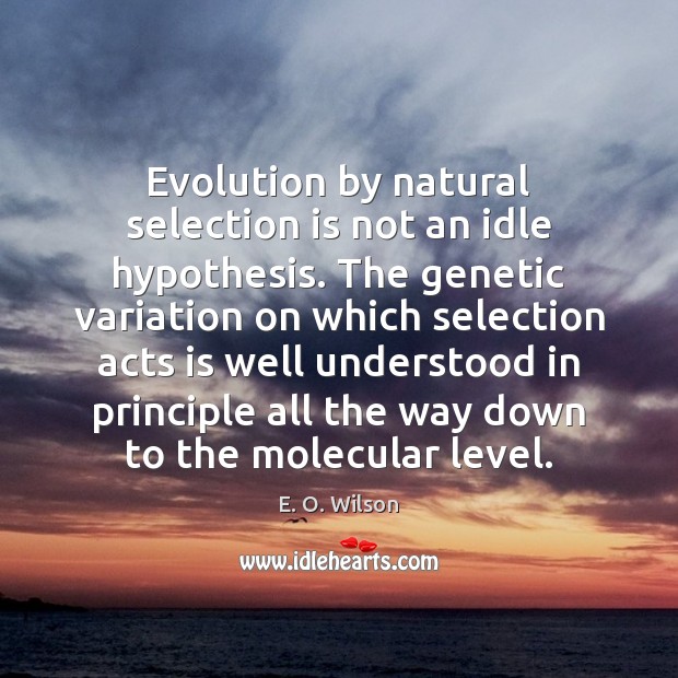 Evolution by natural selection is not an idle hypothesis. The genetic variation E. O. Wilson Picture Quote