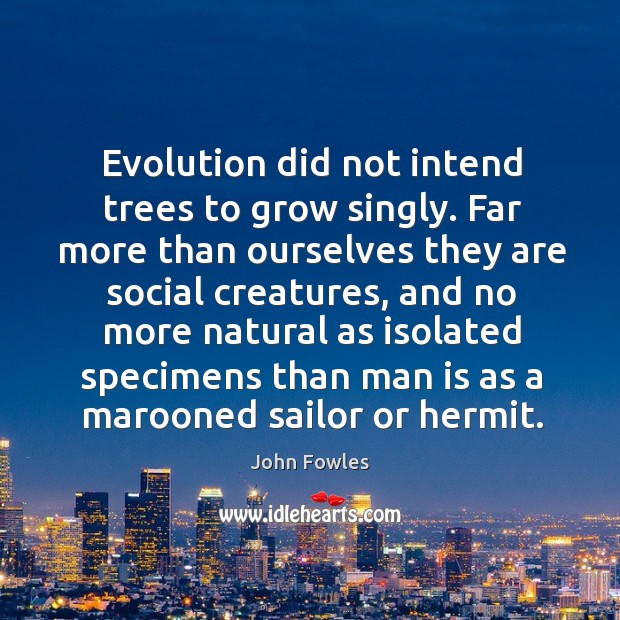 Evolution did not intend trees to grow singly. Far more than ourselves Image