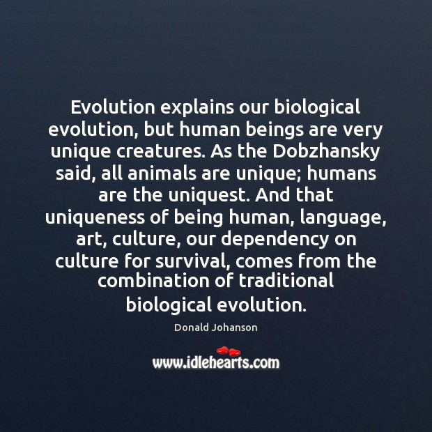 Evolution explains our biological evolution, but human beings are very unique creatures. Donald Johanson Picture Quote