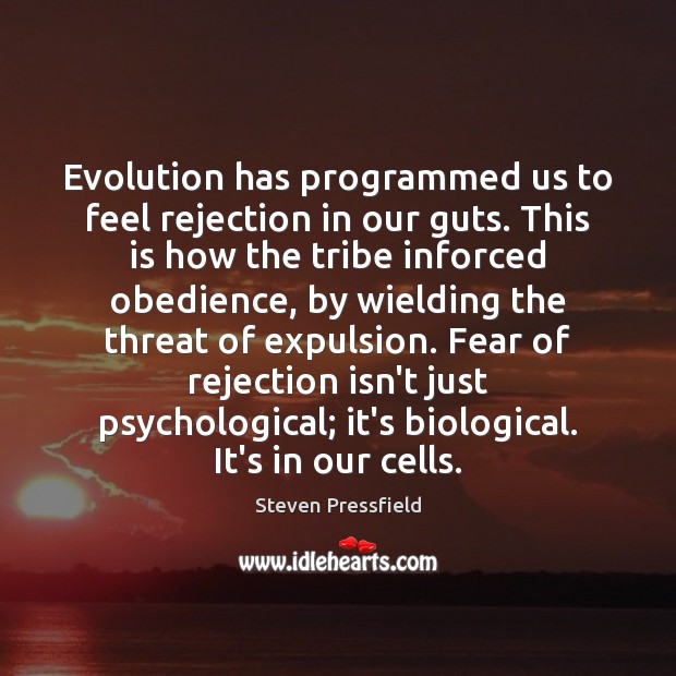 Evolution has programmed us to feel rejection in our guts. This is Steven Pressfield Picture Quote