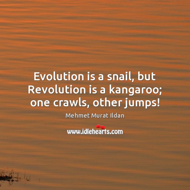 Evolution is a snail, but Revolution is a kangaroo; one crawls, other jumps! 