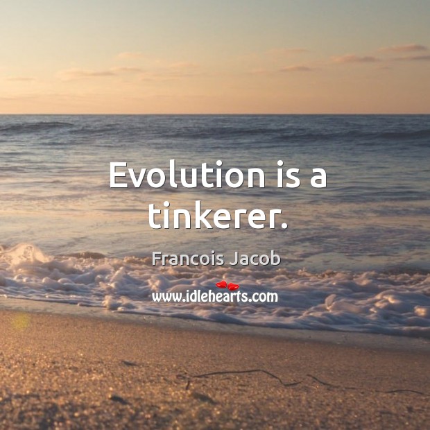 Evolution is a tinkerer. Francois Jacob Picture Quote