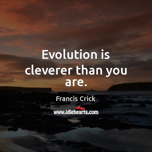 Evolution is cleverer than you are. Francis Crick Picture Quote