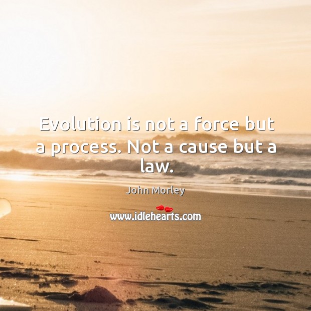 Evolution is not a force but a process. Not a cause but a law. John Morley Picture Quote